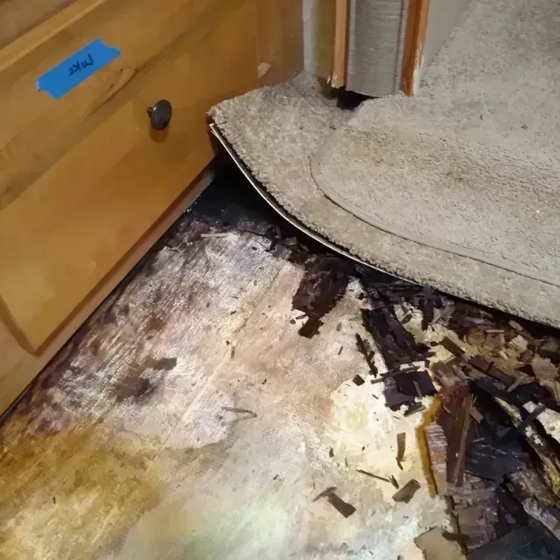 Wood Floor Water Damage in El Rio, CA